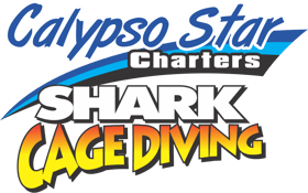 Calypso Star Charters