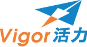 Vigor Tours Ltd