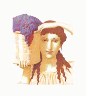 Fattoria di Montemaggio