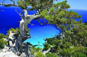 Sardinia Natural Park Tours