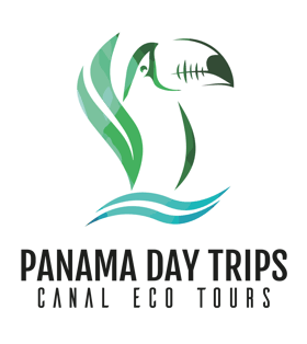 Panama Day Trips - Canal Eco Tours