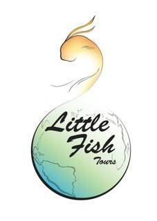 Little Fish Tours