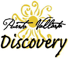 Puerto Vallarta Discovery