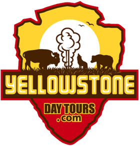 Yellowstone Day Tours