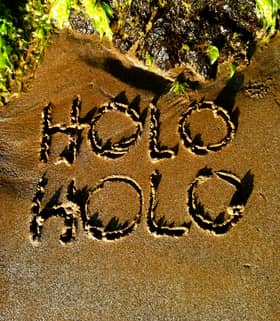 Holo Holo Maui Private Tours