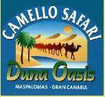 Camello Safari Duna Oasis