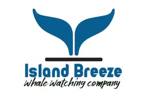 Island breeze Mirissa
