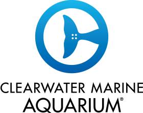 Clearwater Marine Aquarium