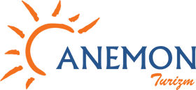 Anemon Tours
