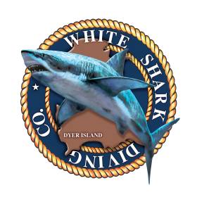 White Shark Diving Company