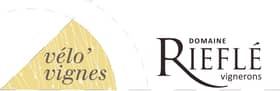 DOMAINE RIEFLE-LANDMANN - VELOVIGNES-BIO