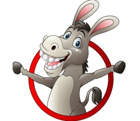 Donkey Tours Mykonos
