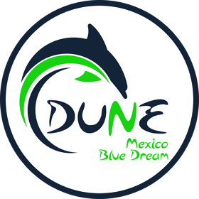 Mexico Blue Dream