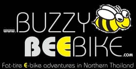 Buzzy Bee Bike