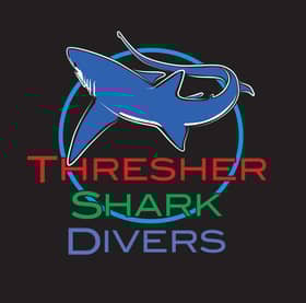 Thresher Shark Divers