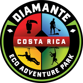 Diamante Eco Adventure Park | GetYourGuide Supplier
