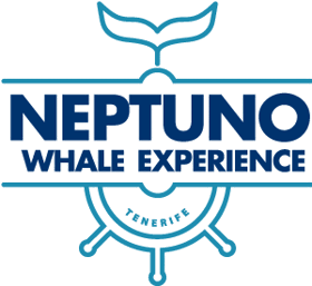 Neptuno Whale Experience Tenerife