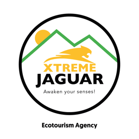 Xtreme Jaguar - Puerto Vallarta