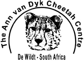 cheetah van