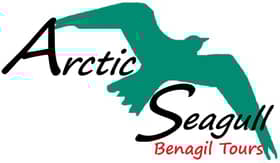 Arctic Seagull Benagil Trips