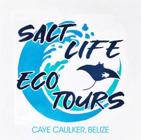 Salt Life Eco Tours