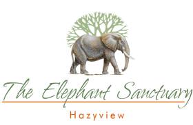 Hazyview Elephant Sanctuary