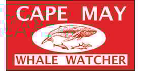 Cape May Whale Watcher