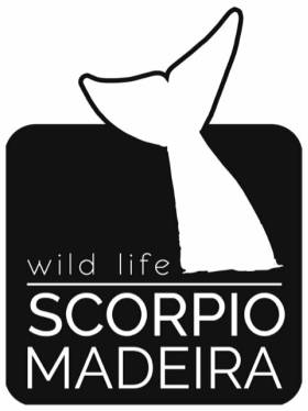 Scorpio Madeira
