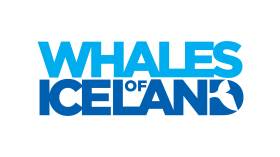 Whales of Iceland