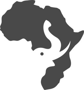 Unique-Safaris