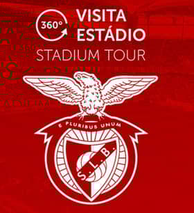 Benfica Estádio Construção