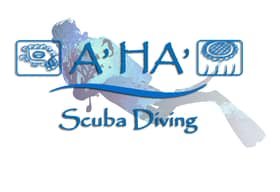 A' HA' Scuba Diving Cancun