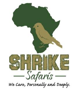 Shrike Safaris