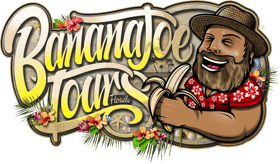 Miami & Everglades Tours with pick up