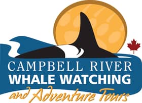 whale watching getyourguide