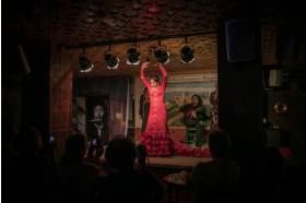 Tablao Albayzín Flamenco
