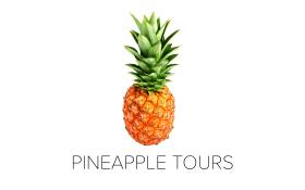 Pineapple Tours AU
