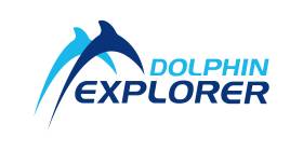 dolphin explorer