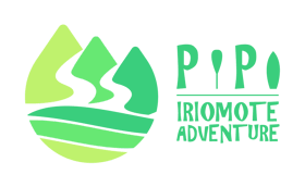 IRIOMOTE ADVENTURE PiPi