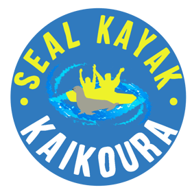 SealKayakKaikoura