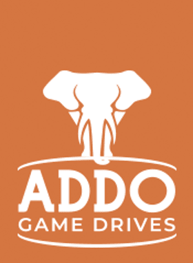 Addo Game Drives
