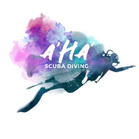 A' HA' Scuba Diving Cancun