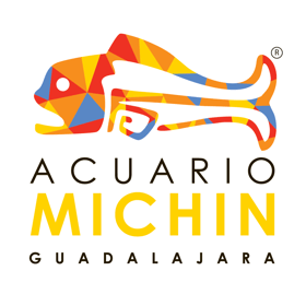 ACUARIO MICHIN
