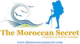TMS Tours and Excursions