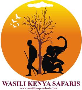 WASILI SAFARIS KENYA