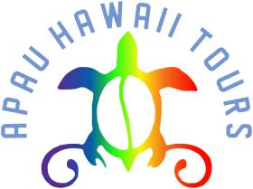 hawaii tours llc