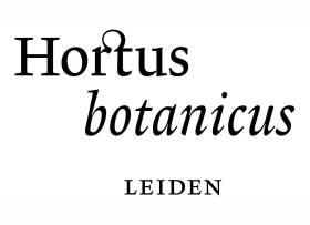 Hortus botanicus Leiden