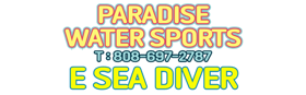 E SEA DIVER