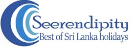 Seerendipity tours