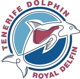 Tenerife Dolphin